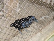 Výlet do Ekocentra MB - Spižírna